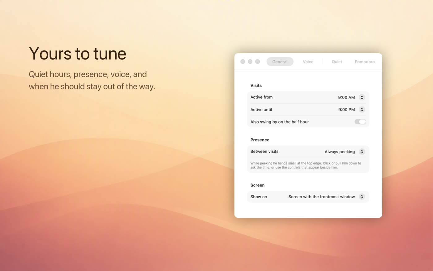 SwingBy preferences window showing visit hours, presence and screen settings